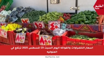 أسعار الخضراوات والفواكه اليوم السبت 23 أغسطس 2025 ترتفع في المنوفية